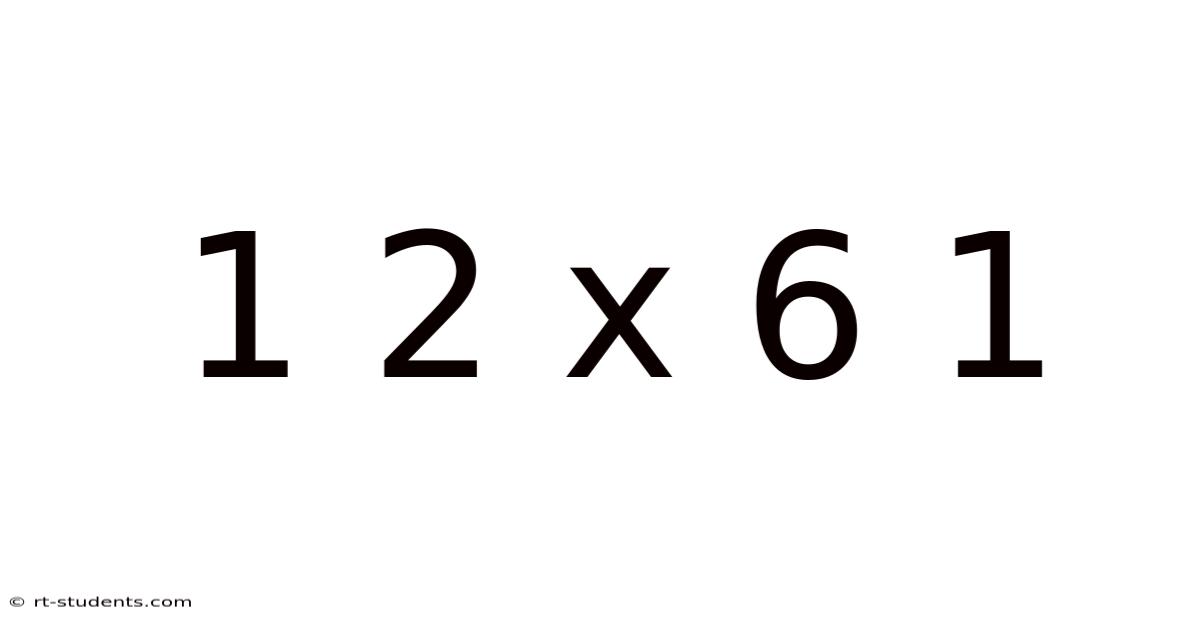 1 2 X 6 1