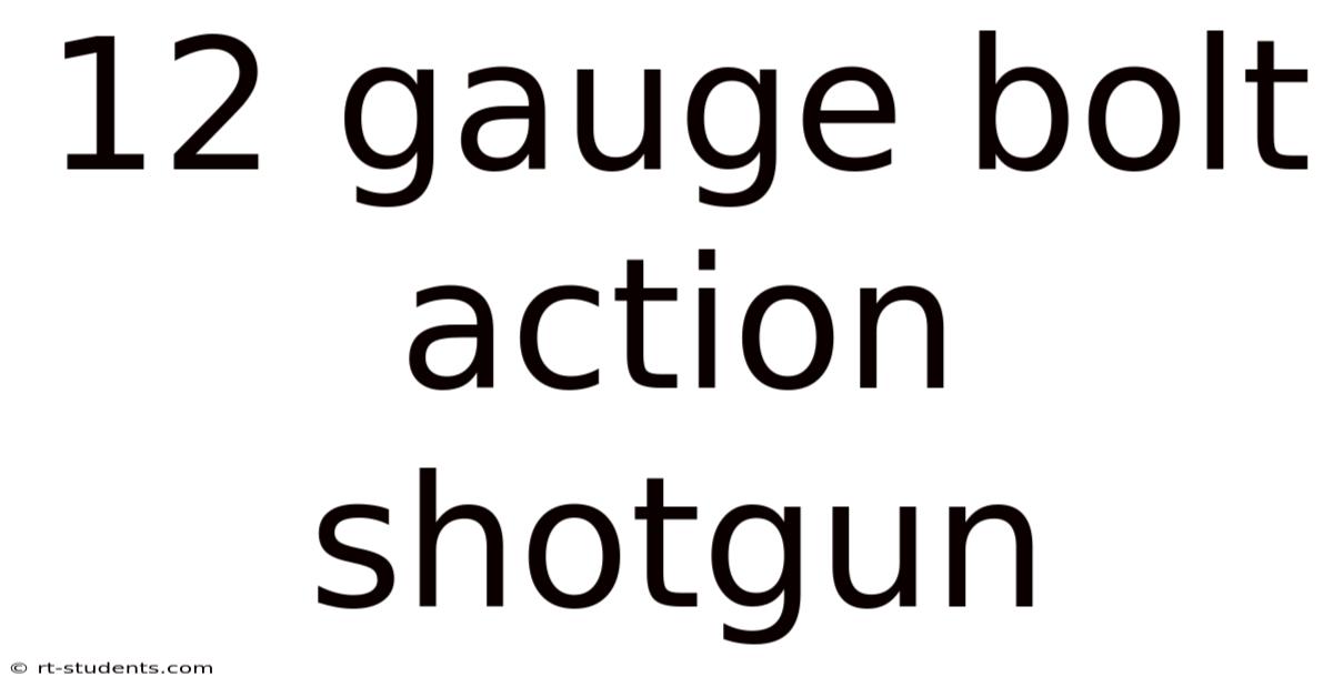 12 Gauge Bolt Action Shotgun