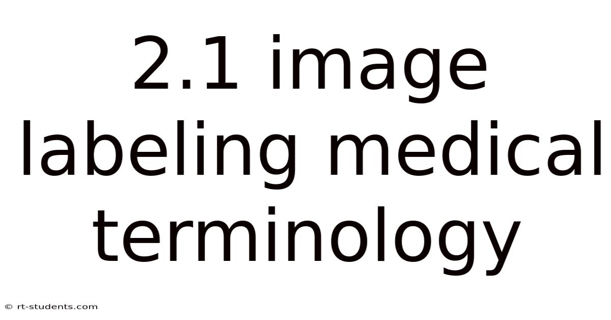 2.1 Image Labeling Medical Terminology