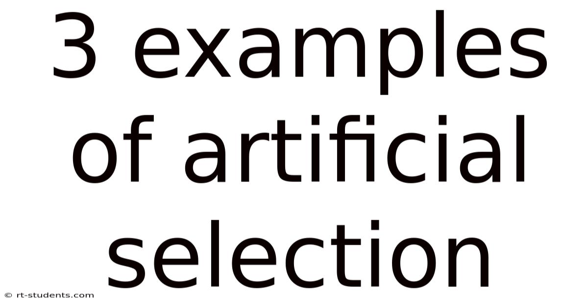 3 Examples Of Artificial Selection