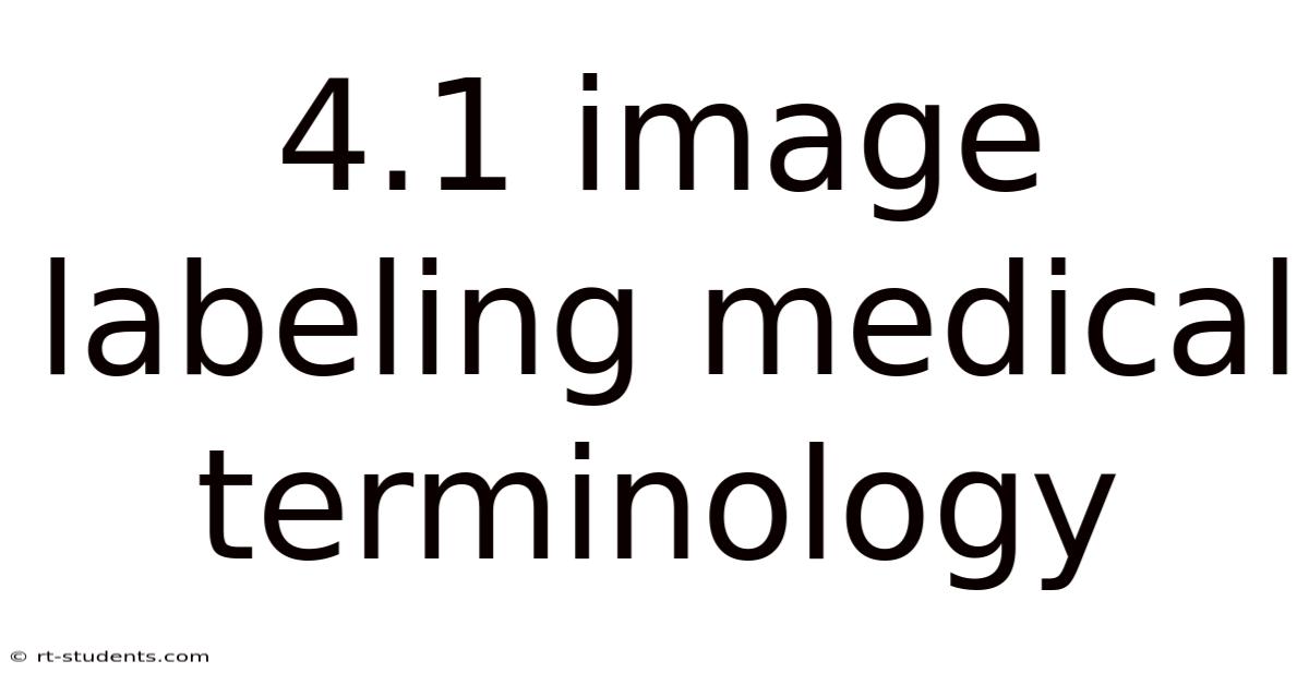 4.1 Image Labeling Medical Terminology