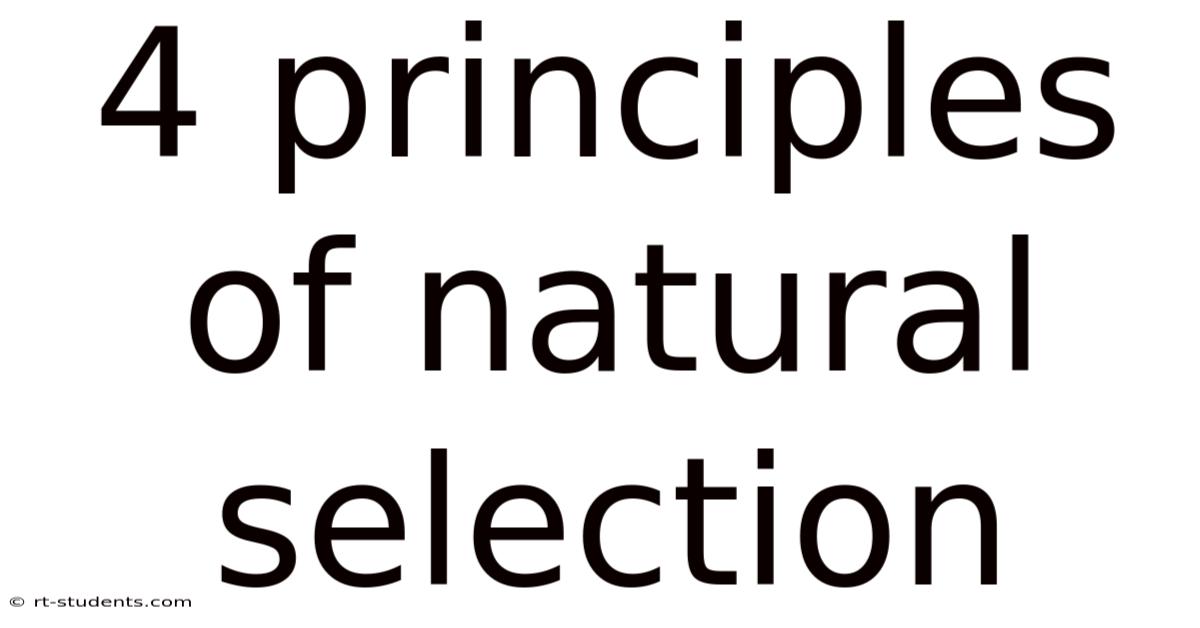 4 Principles Of Natural Selection