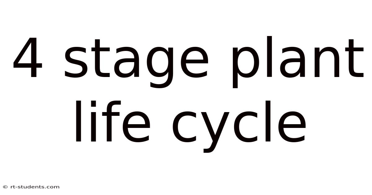 4 Stage Plant Life Cycle