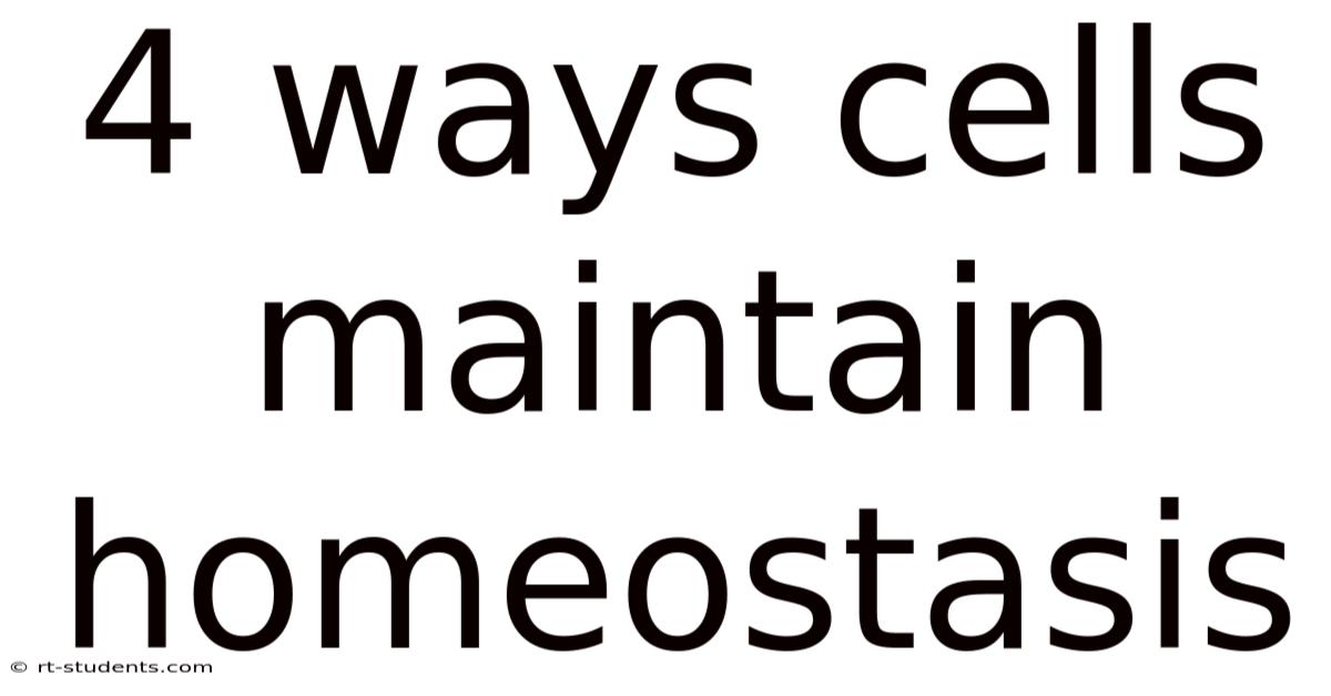 4 Ways Cells Maintain Homeostasis