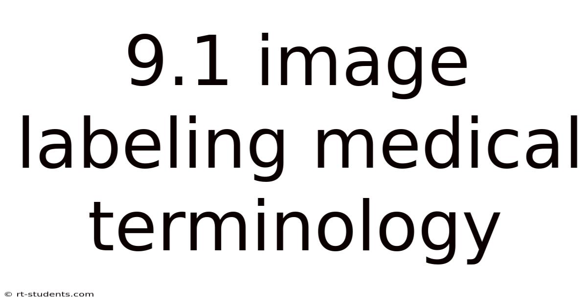 9.1 Image Labeling Medical Terminology