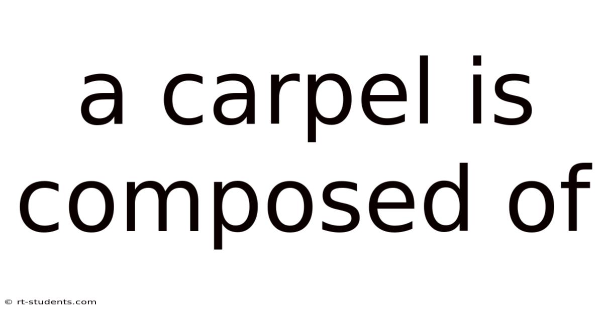 A Carpel Is Composed Of