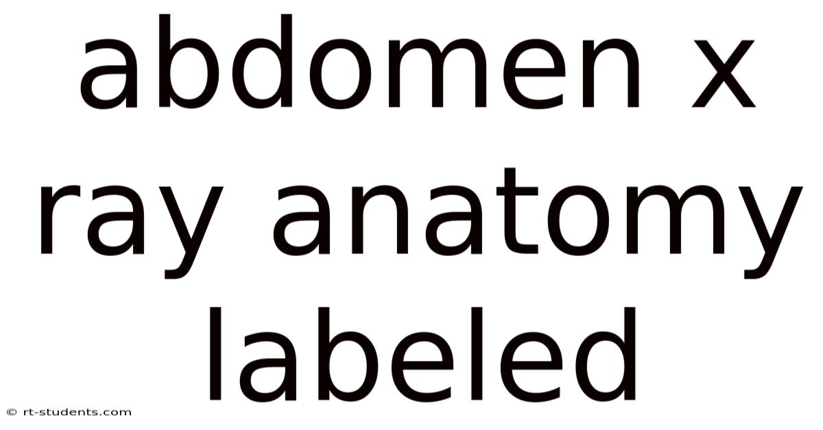 Abdomen X Ray Anatomy Labeled