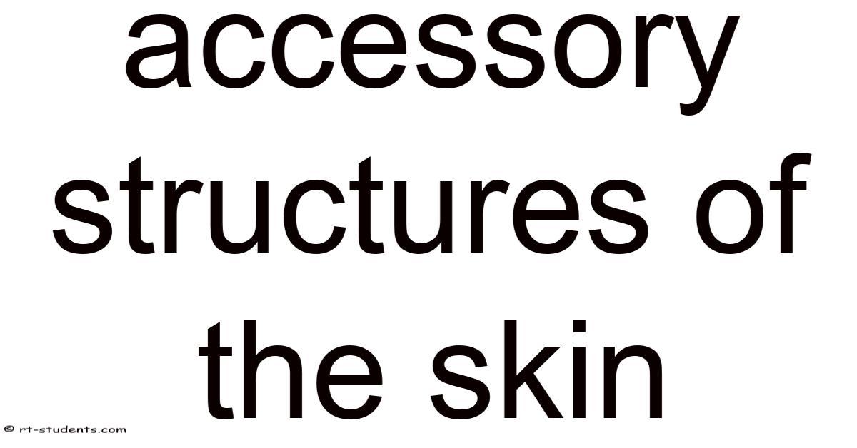 Accessory Structures Of The Skin