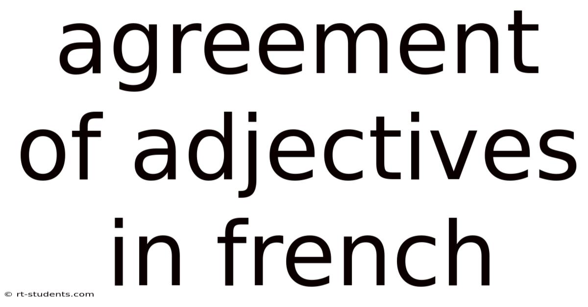 Agreement Of Adjectives In French