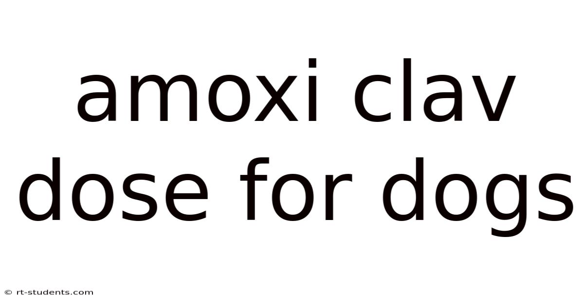 Amoxi Clav Dose For Dogs