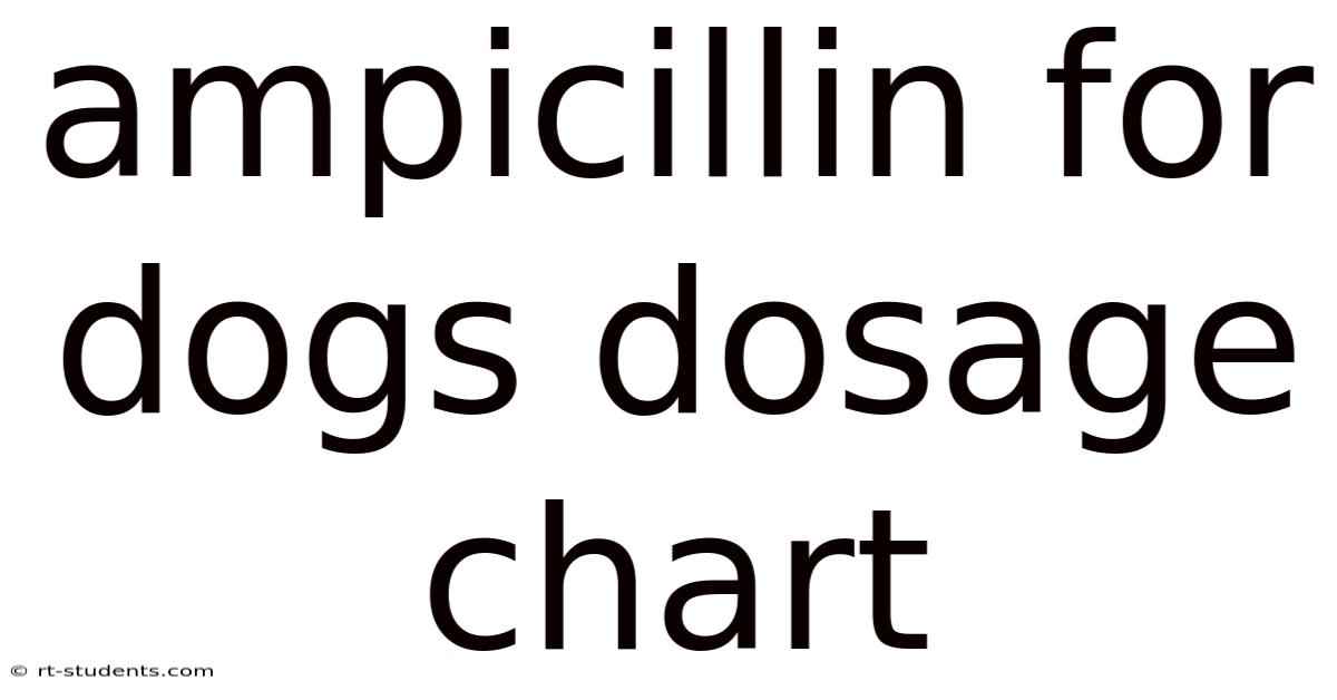 Ampicillin For Dogs Dosage Chart