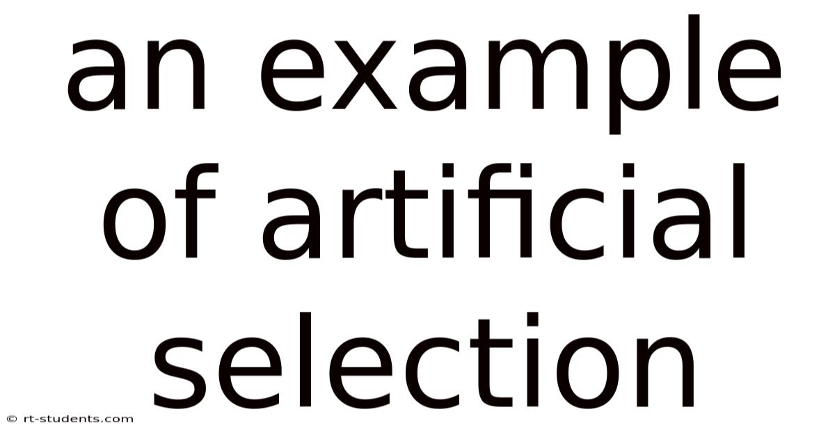 An Example Of Artificial Selection