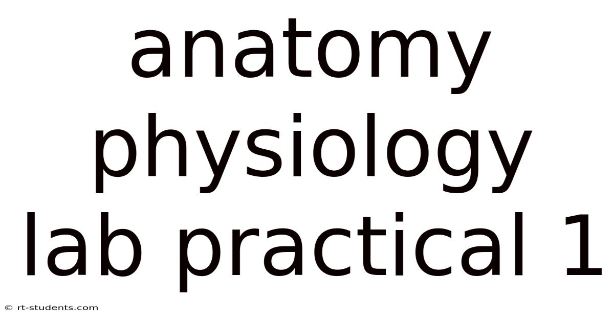 Anatomy Physiology Lab Practical 1