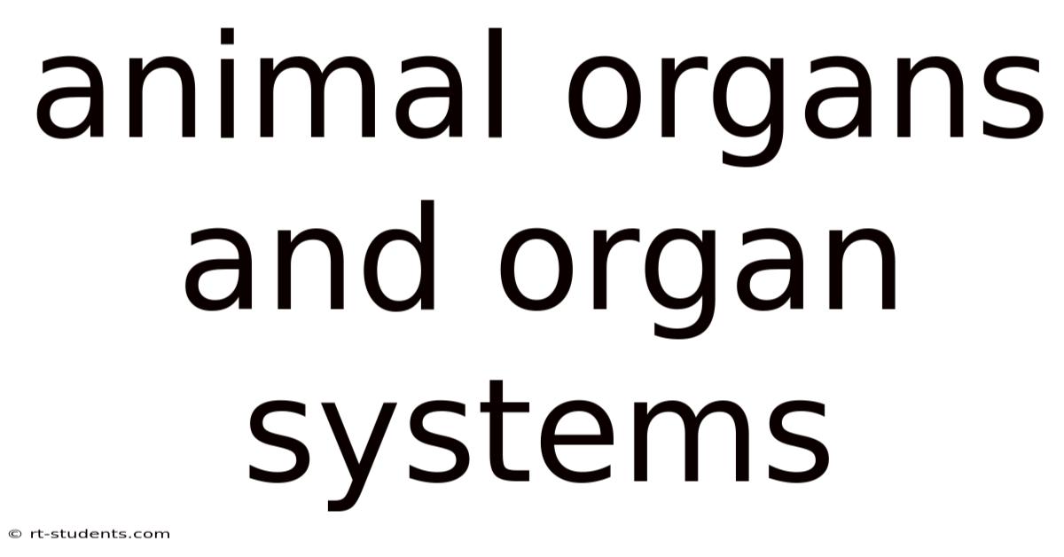 Animal Organs And Organ Systems