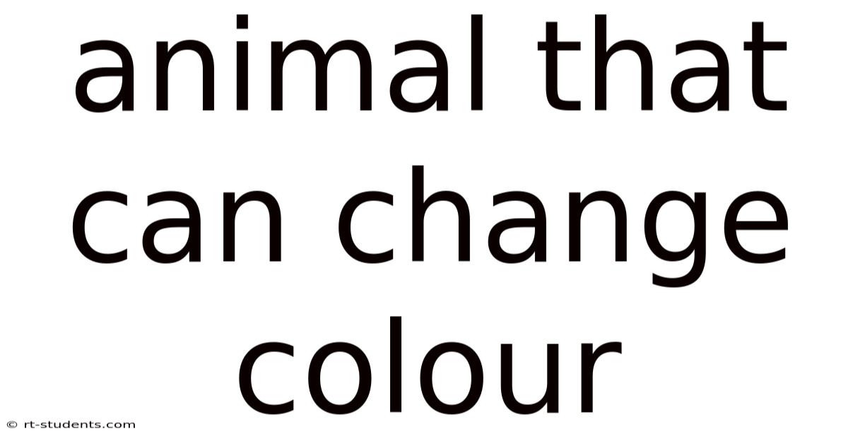 Animal That Can Change Colour