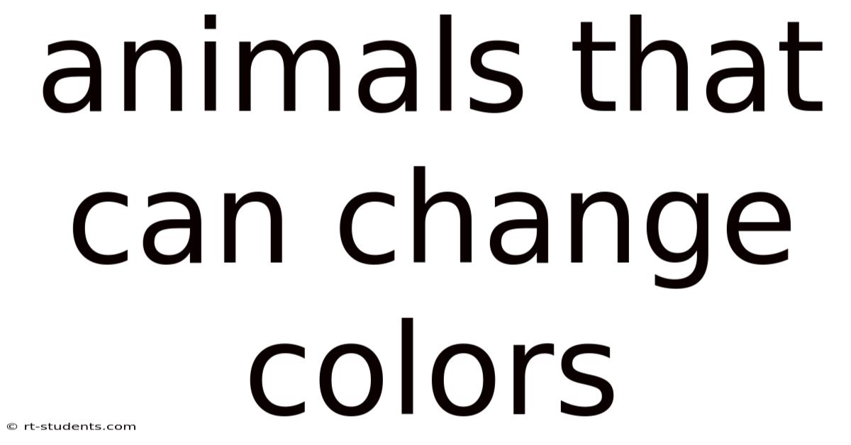 Animals That Can Change Colors