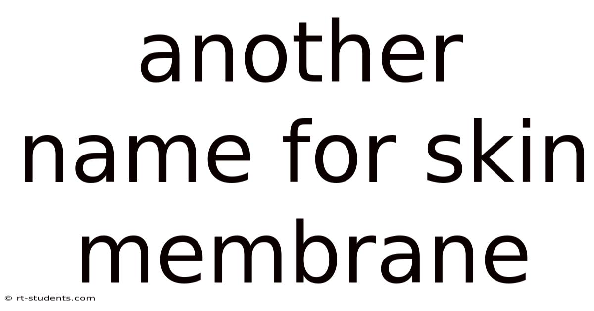 Another Name For Skin Membrane