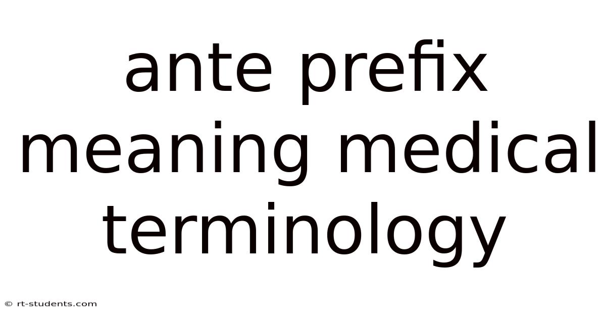 Ante Prefix Meaning Medical Terminology