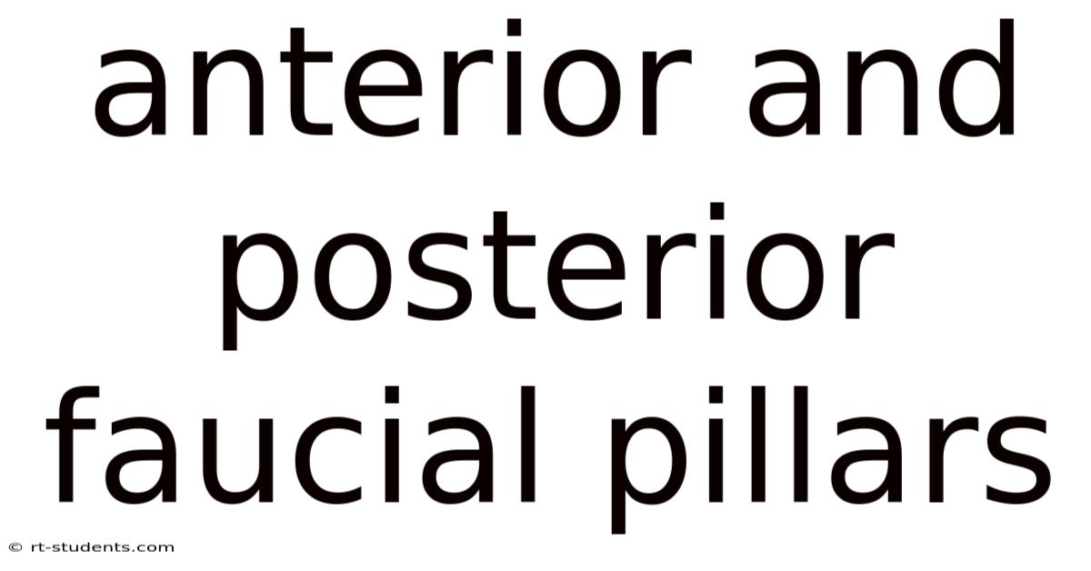 Anterior And Posterior Faucial Pillars