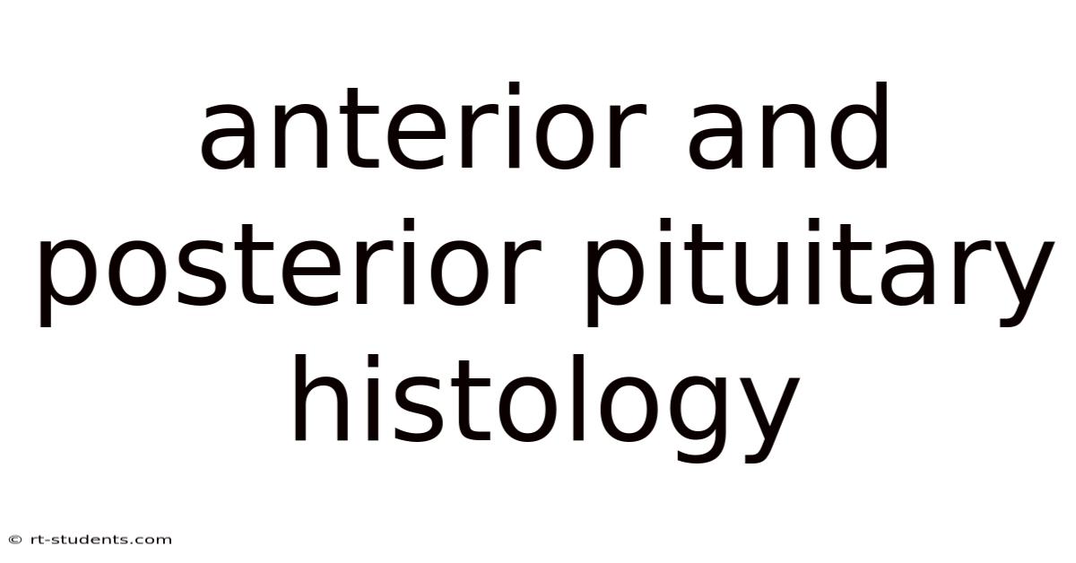 Anterior And Posterior Pituitary Histology