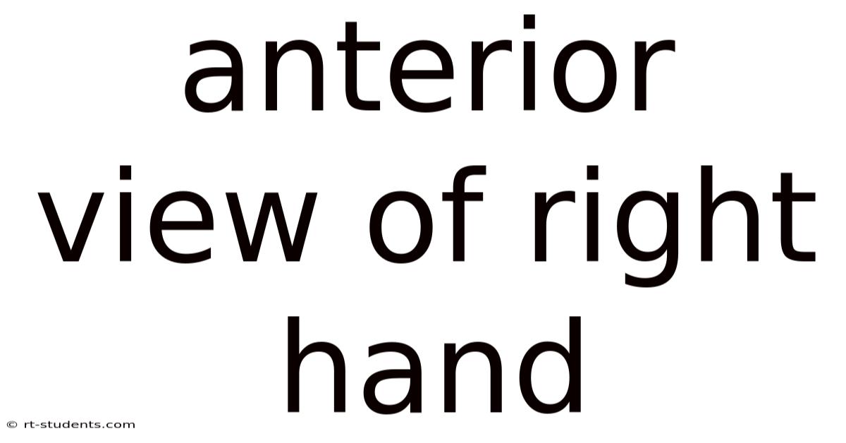 Anterior View Of Right Hand