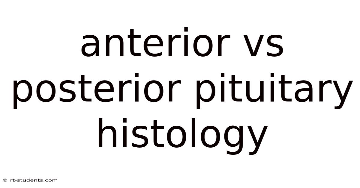 Anterior Vs Posterior Pituitary Histology