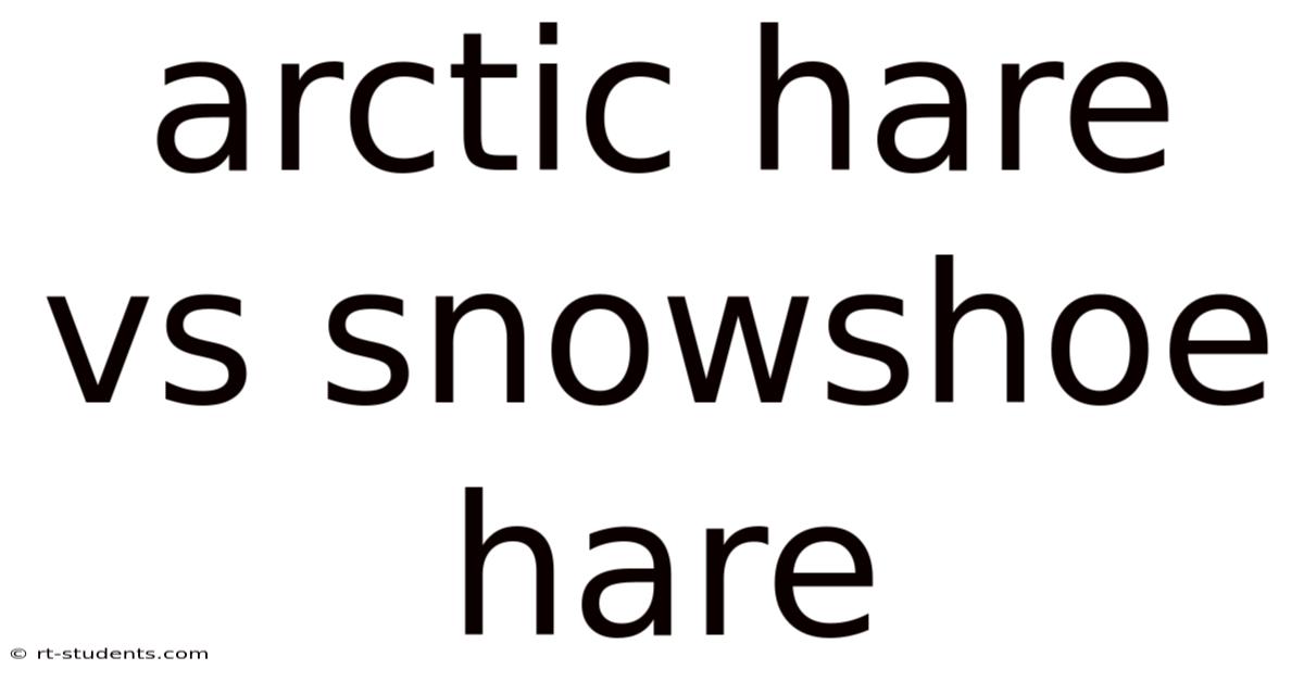 Arctic Hare Vs Snowshoe Hare
