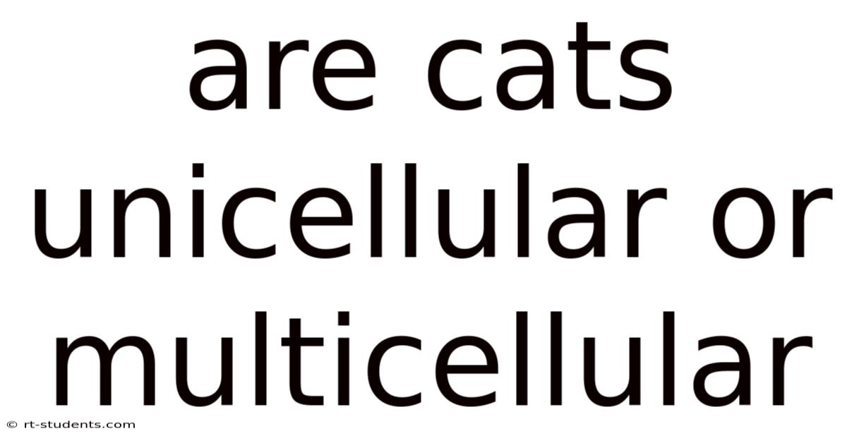 Are Cats Unicellular Or Multicellular