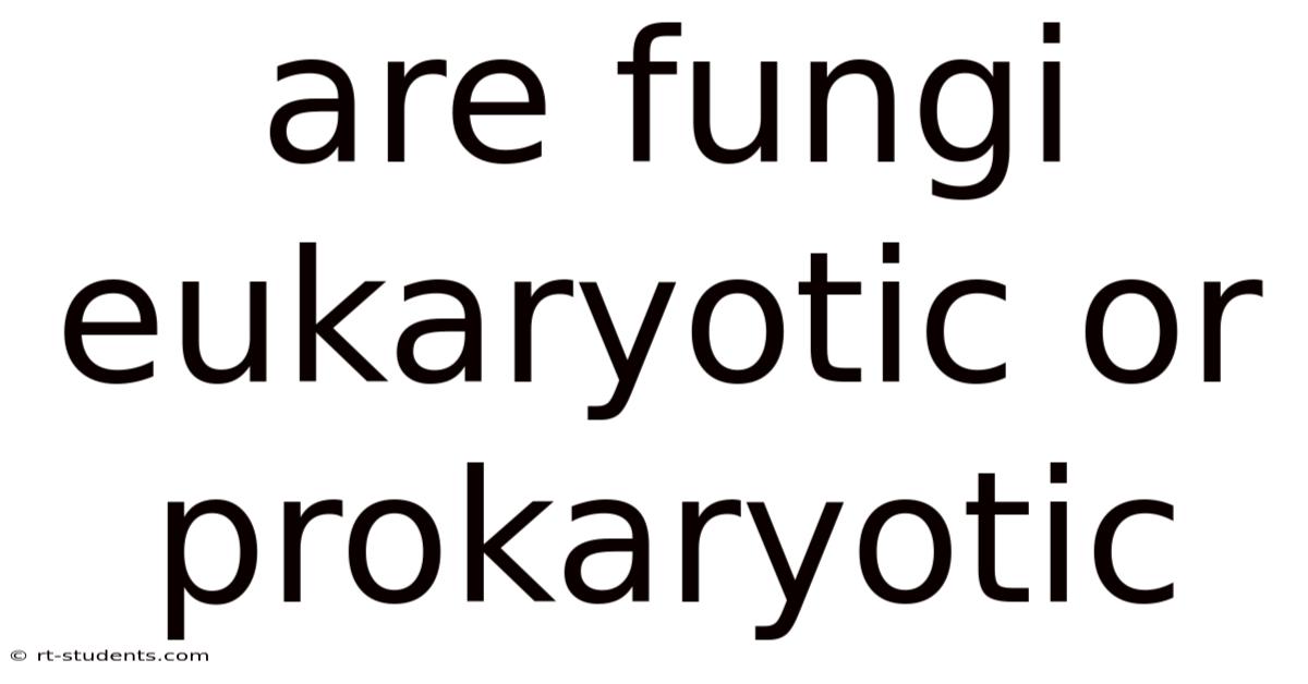 Are Fungi Eukaryotic Or Prokaryotic
