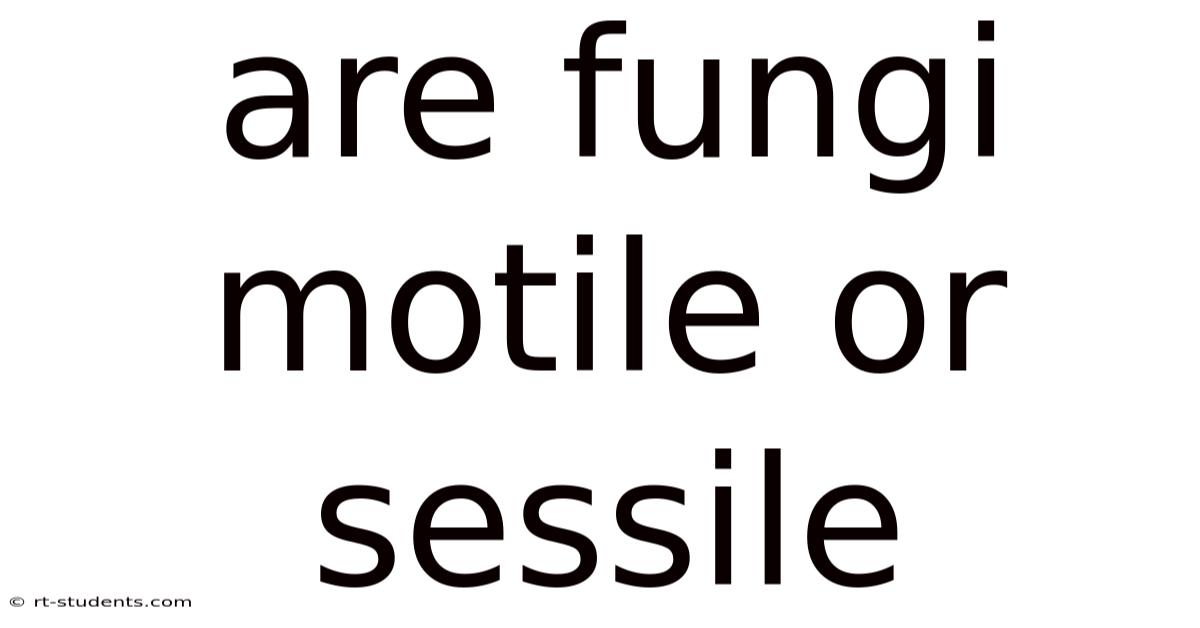 Are Fungi Motile Or Sessile