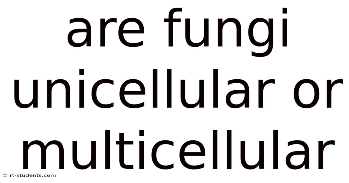 Are Fungi Unicellular Or Multicellular