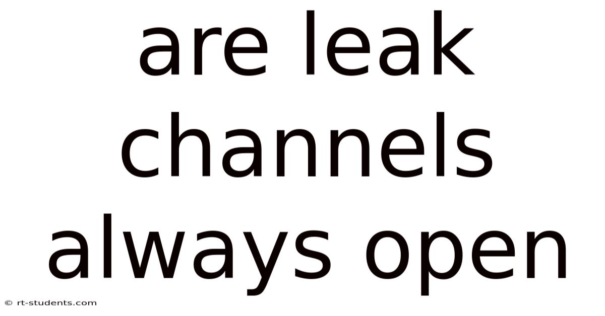 Are Leak Channels Always Open