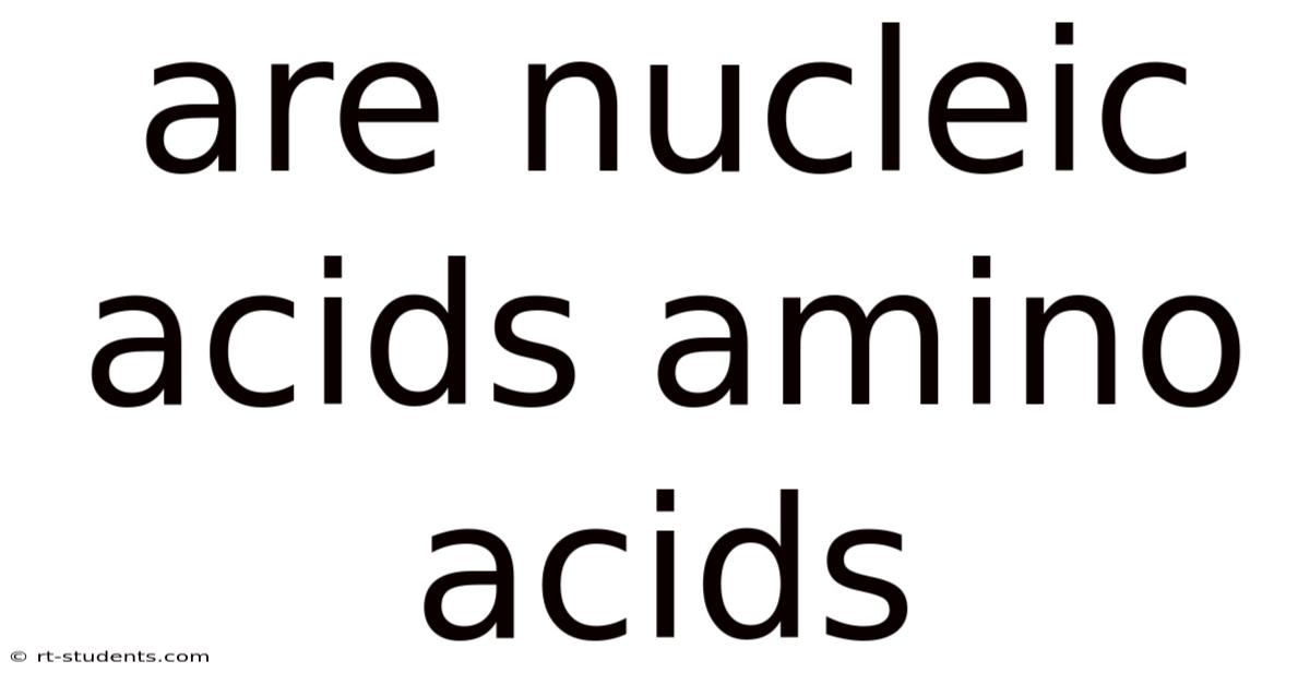 Are Nucleic Acids Amino Acids