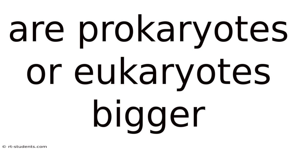 Are Prokaryotes Or Eukaryotes Bigger