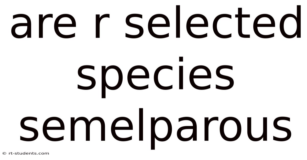 Are R Selected Species Semelparous