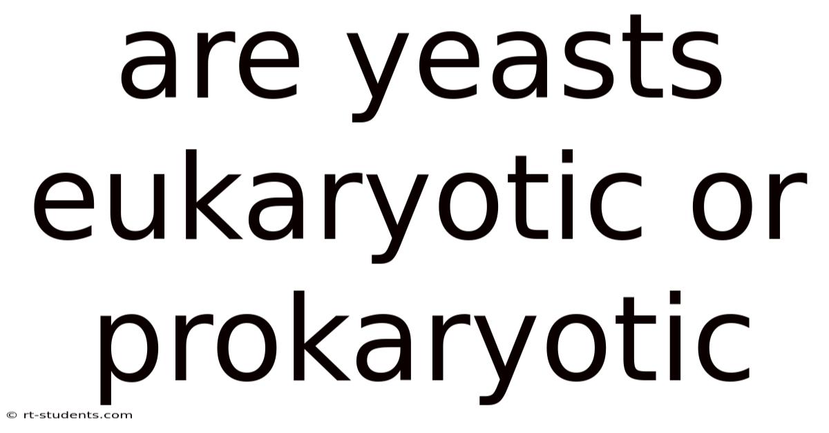 Are Yeasts Eukaryotic Or Prokaryotic