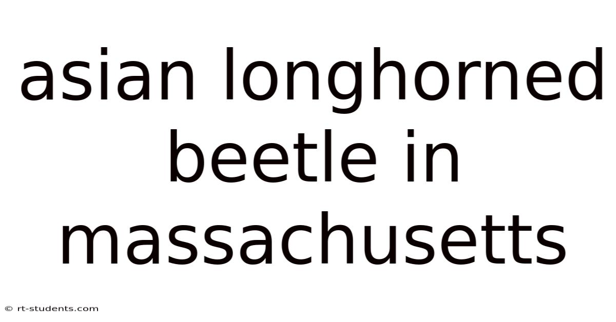 Asian Longhorned Beetle In Massachusetts