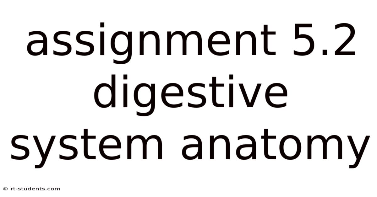 Assignment 5.2 Digestive System Anatomy