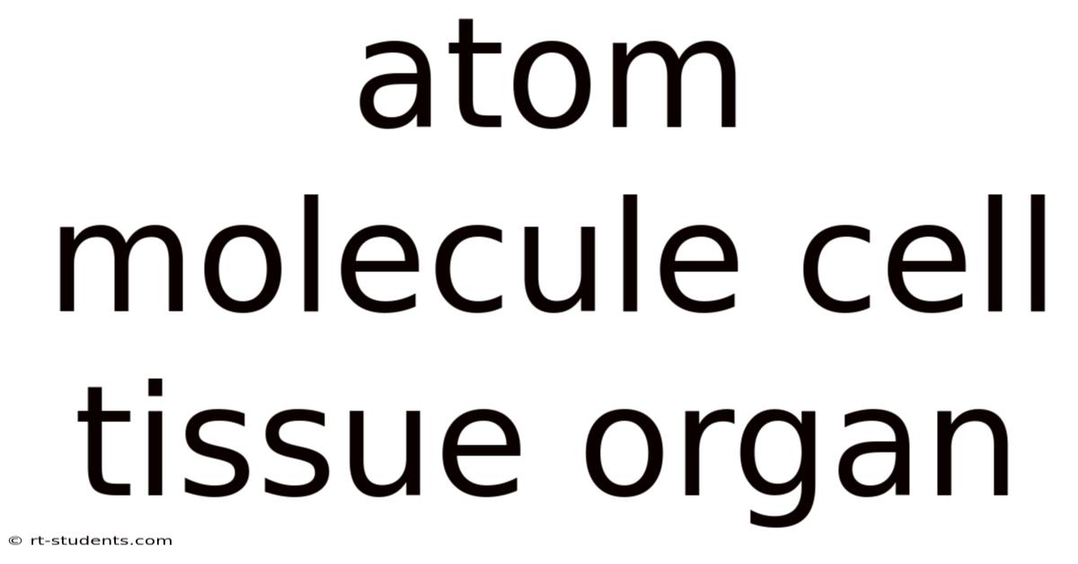 Atom Molecule Cell Tissue Organ