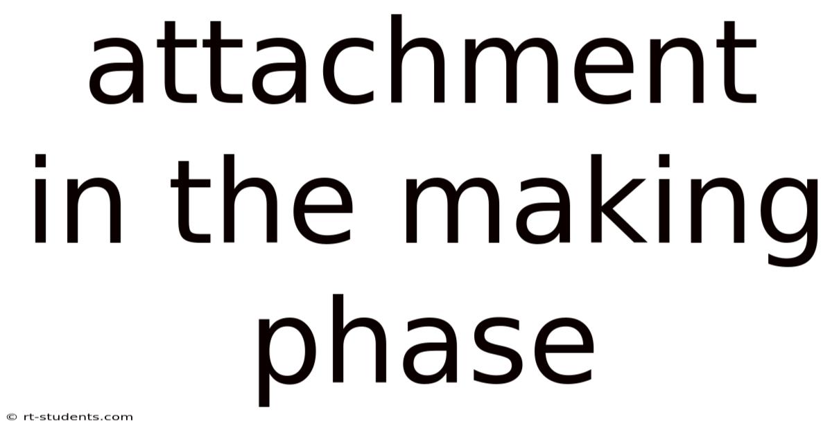 Attachment In The Making Phase