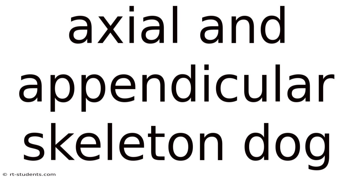 Axial And Appendicular Skeleton Dog