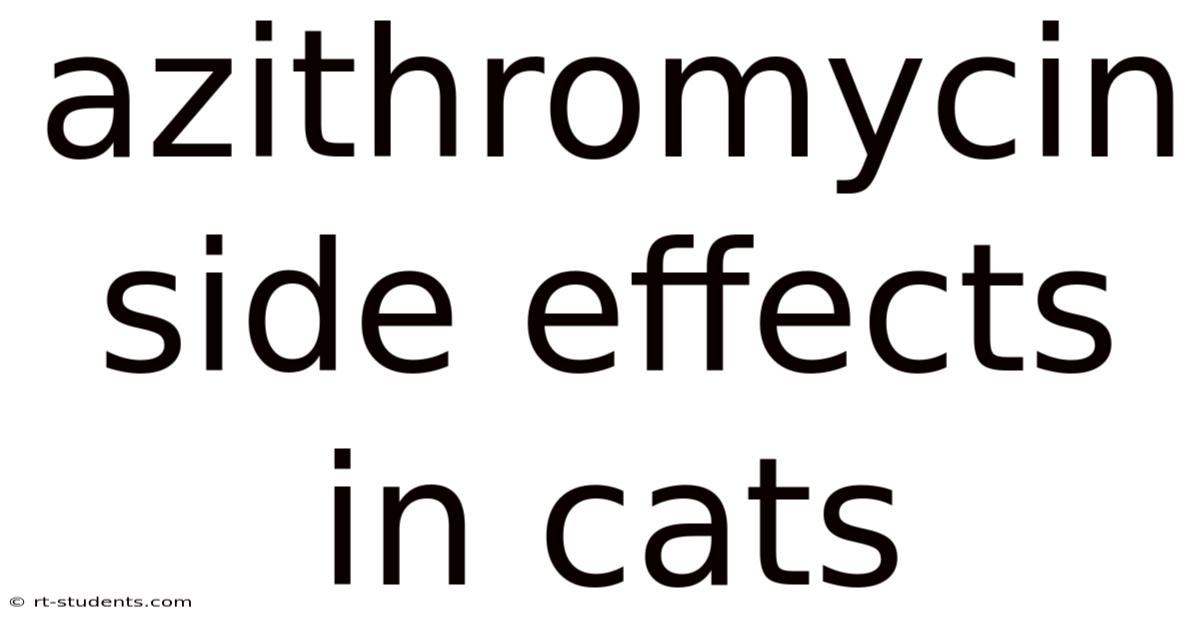 Azithromycin Side Effects In Cats