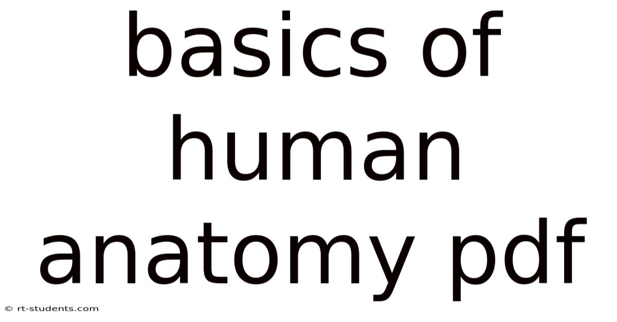 Basics Of Human Anatomy Pdf