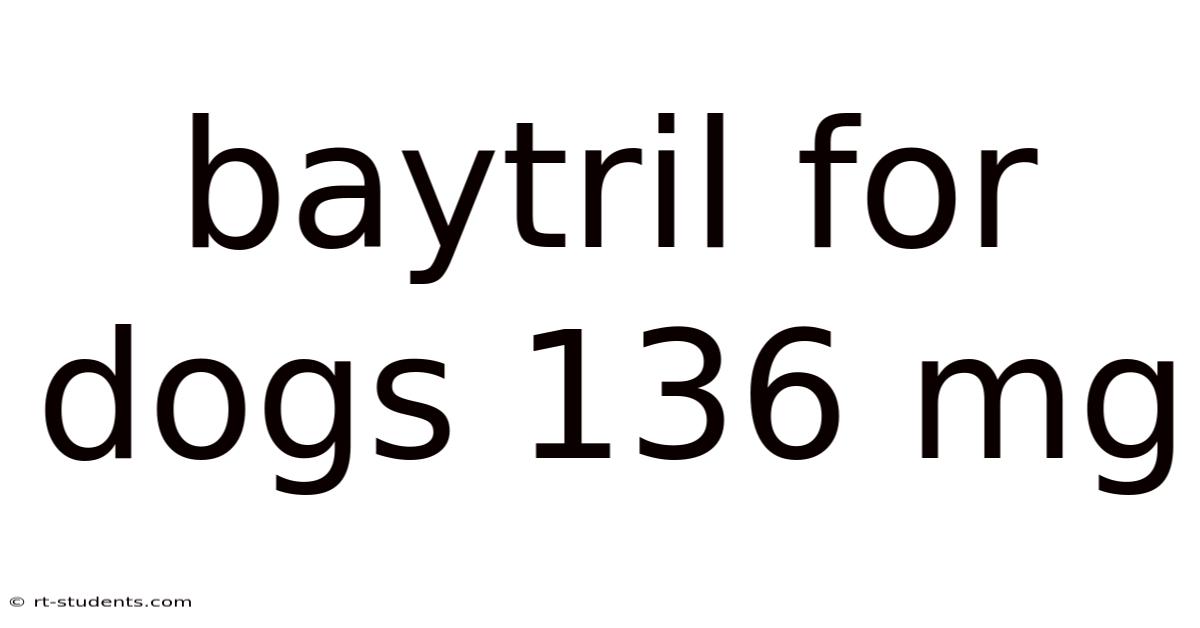 Baytril For Dogs 136 Mg