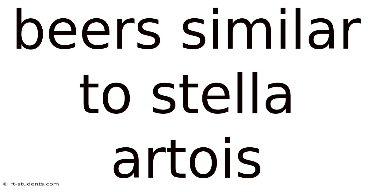 Beers Similar To Stella Artois