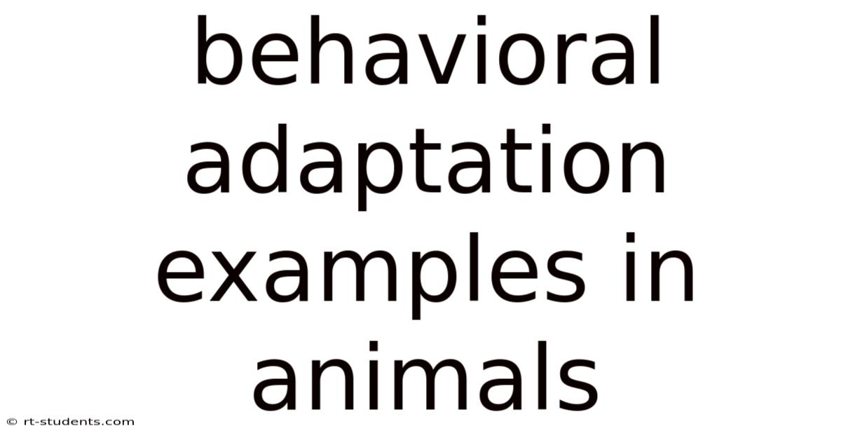 Behavioral Adaptation Examples In Animals