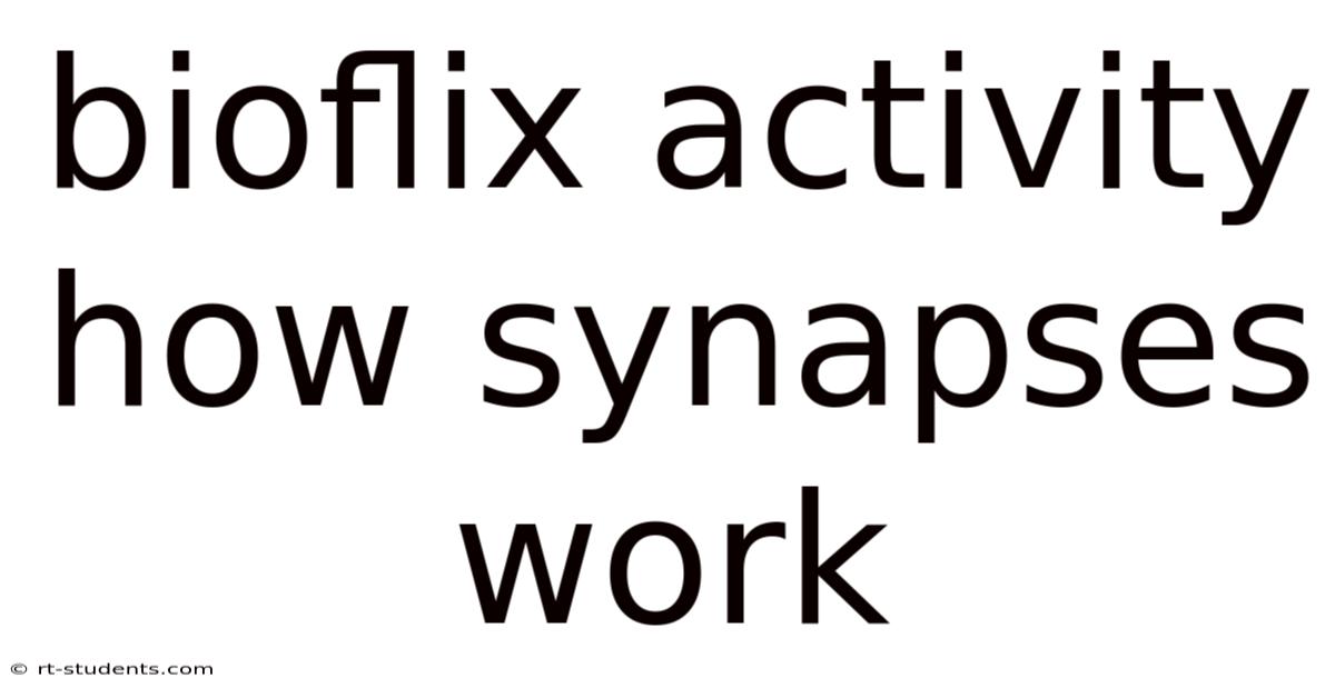 Bioflix Activity How Synapses Work