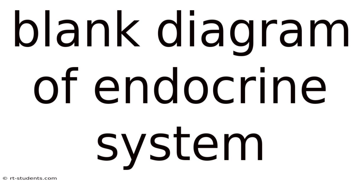 Blank Diagram Of Endocrine System