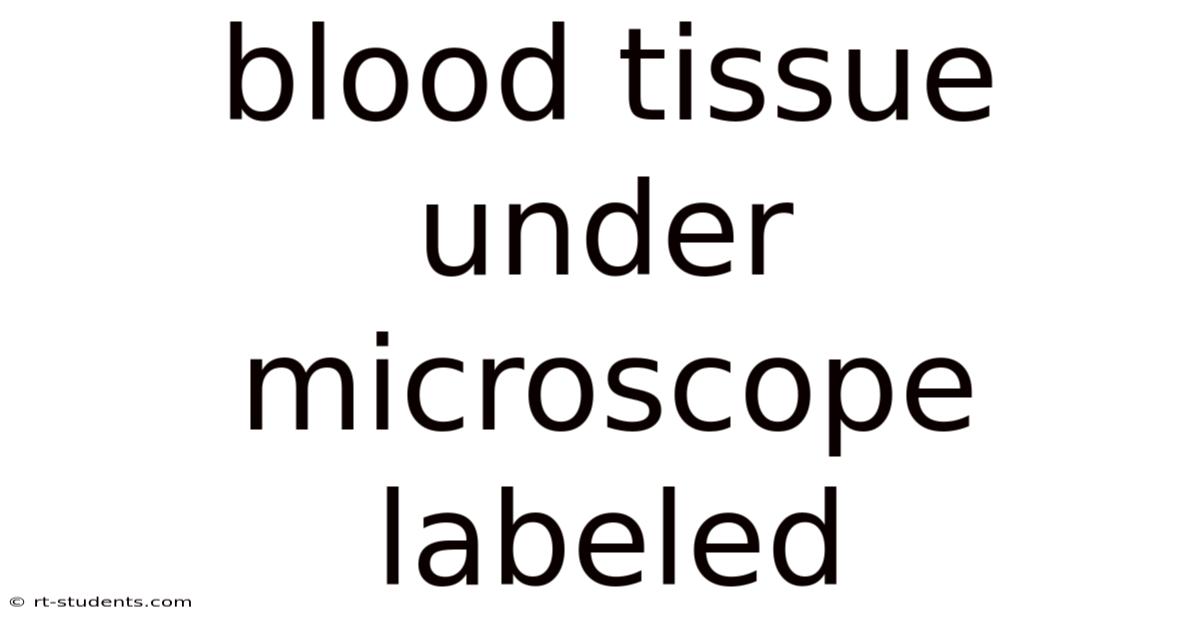 Blood Tissue Under Microscope Labeled