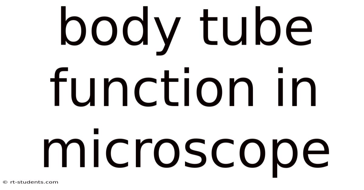 Body Tube Function In Microscope